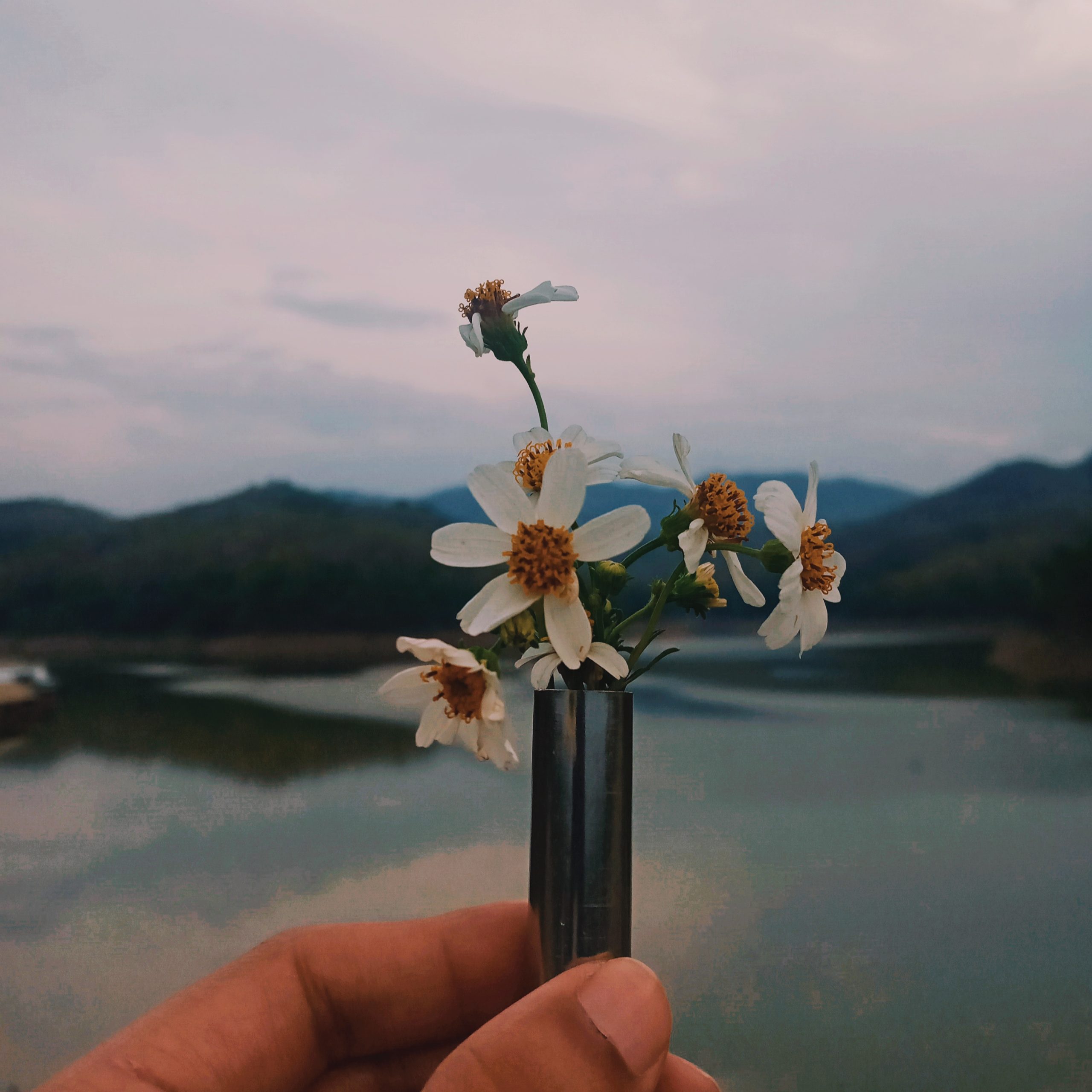 Flower Flower